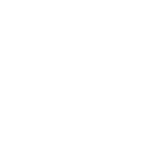 Logo ESS blanc